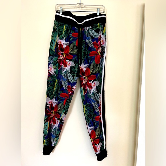 C&C California jogging style pant - Picture 1 of 3